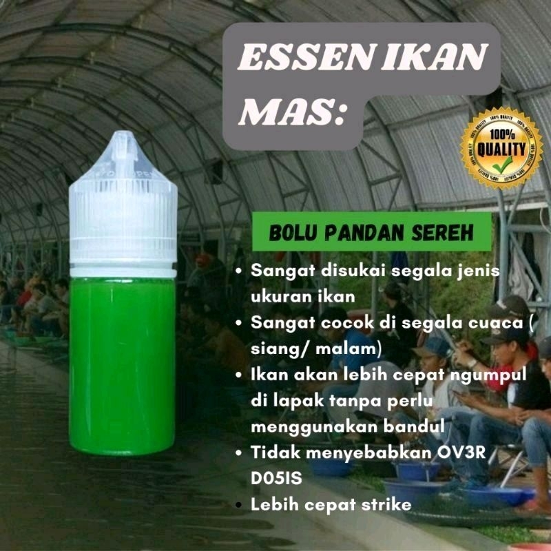 essen oplosan bolu pandan sereh paling jitu harian galatamma galapung kilo gebrus-267