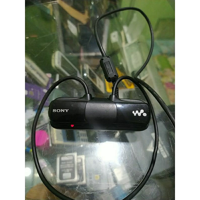 mp3 player sony nwz-z273 outdoor