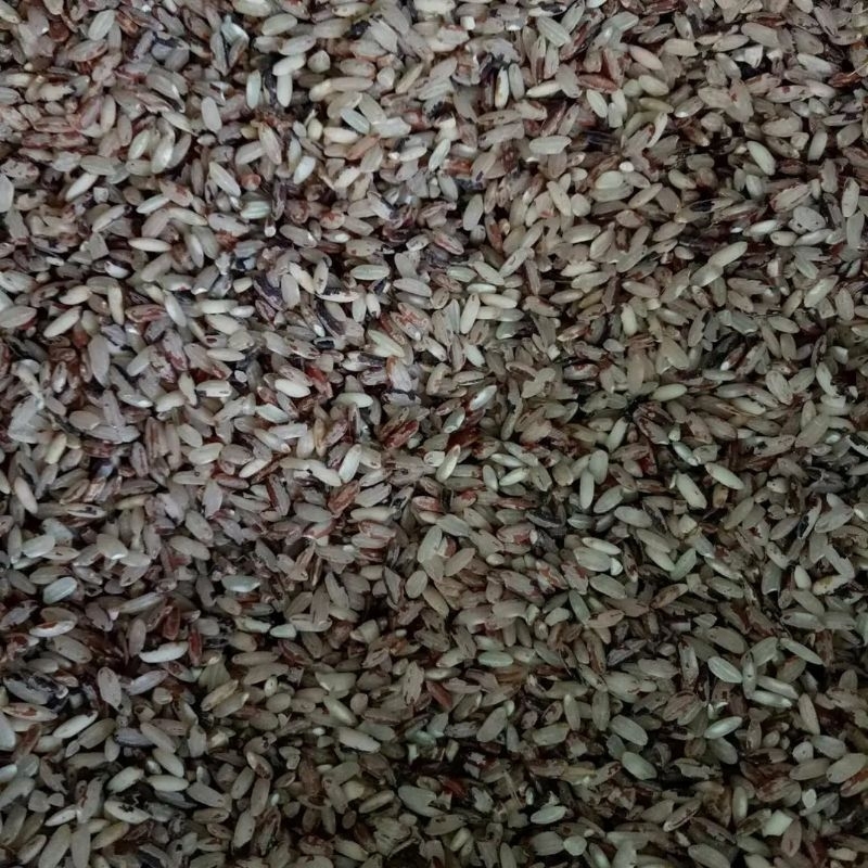 

Red Rice originally from lebak Banten - Beras merah asli Lebak Banten