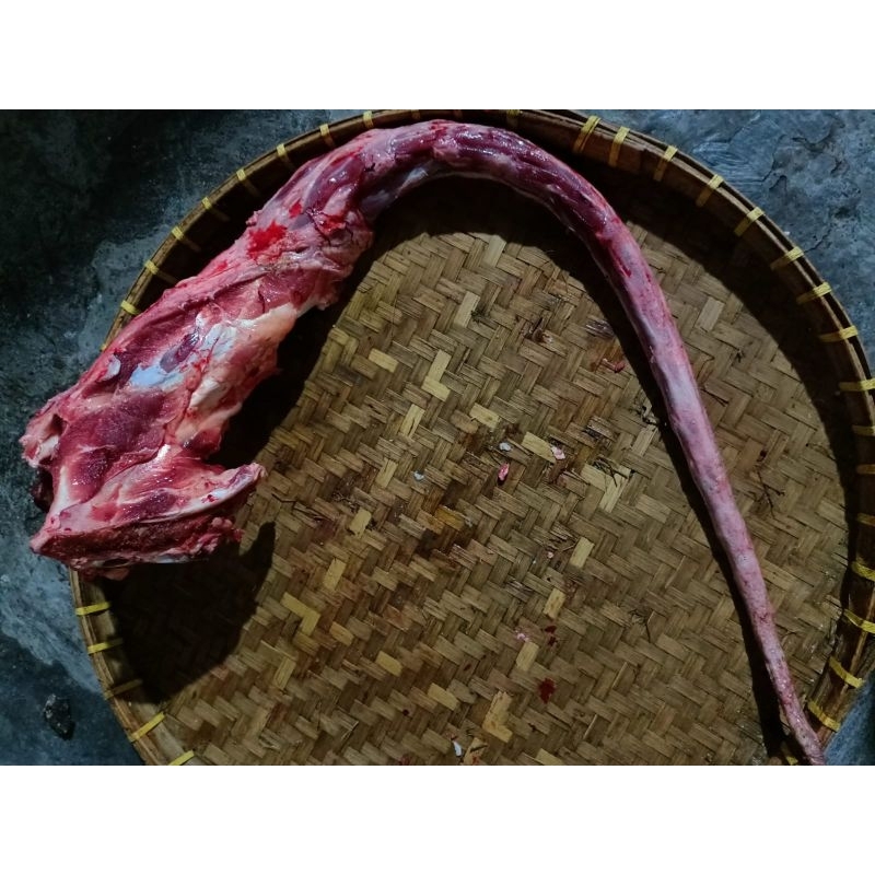 

Buntut ekor sapi (utuh) 1 kg