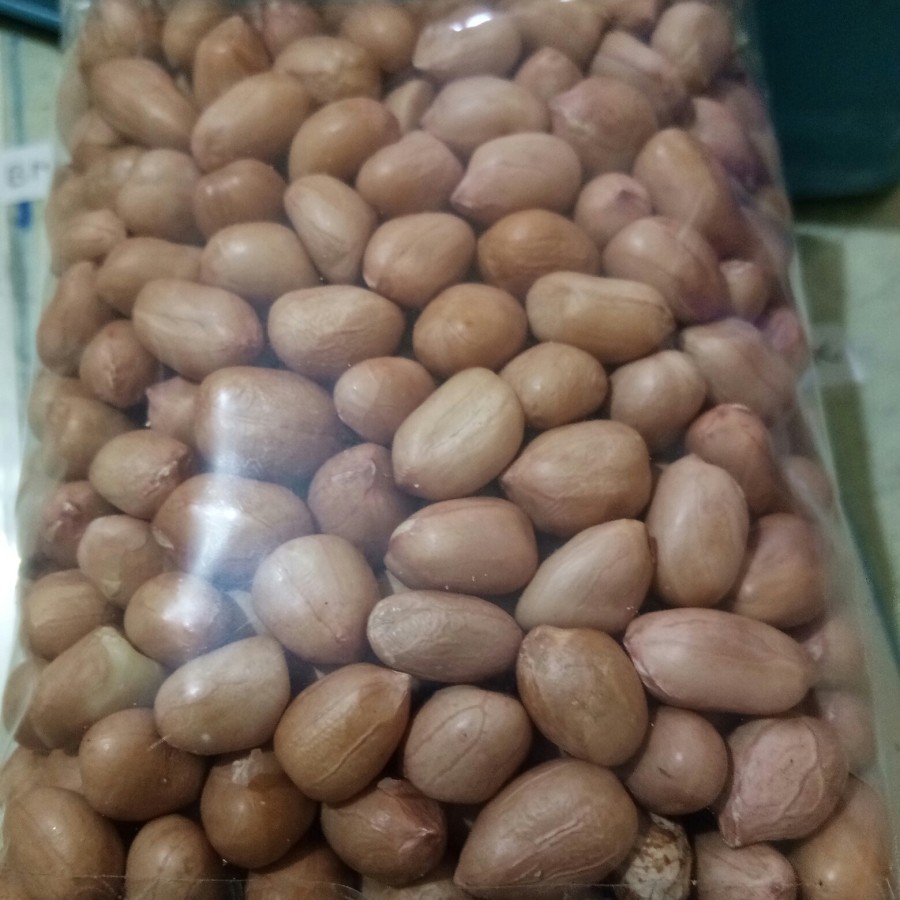 

Kacang Tanah mentah