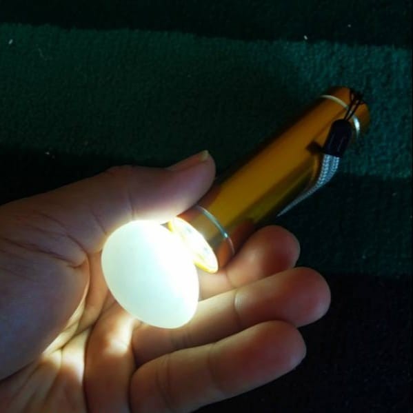 Senter pen teropong pengecek telur burung ayam unggas inkubator led senter mini murah