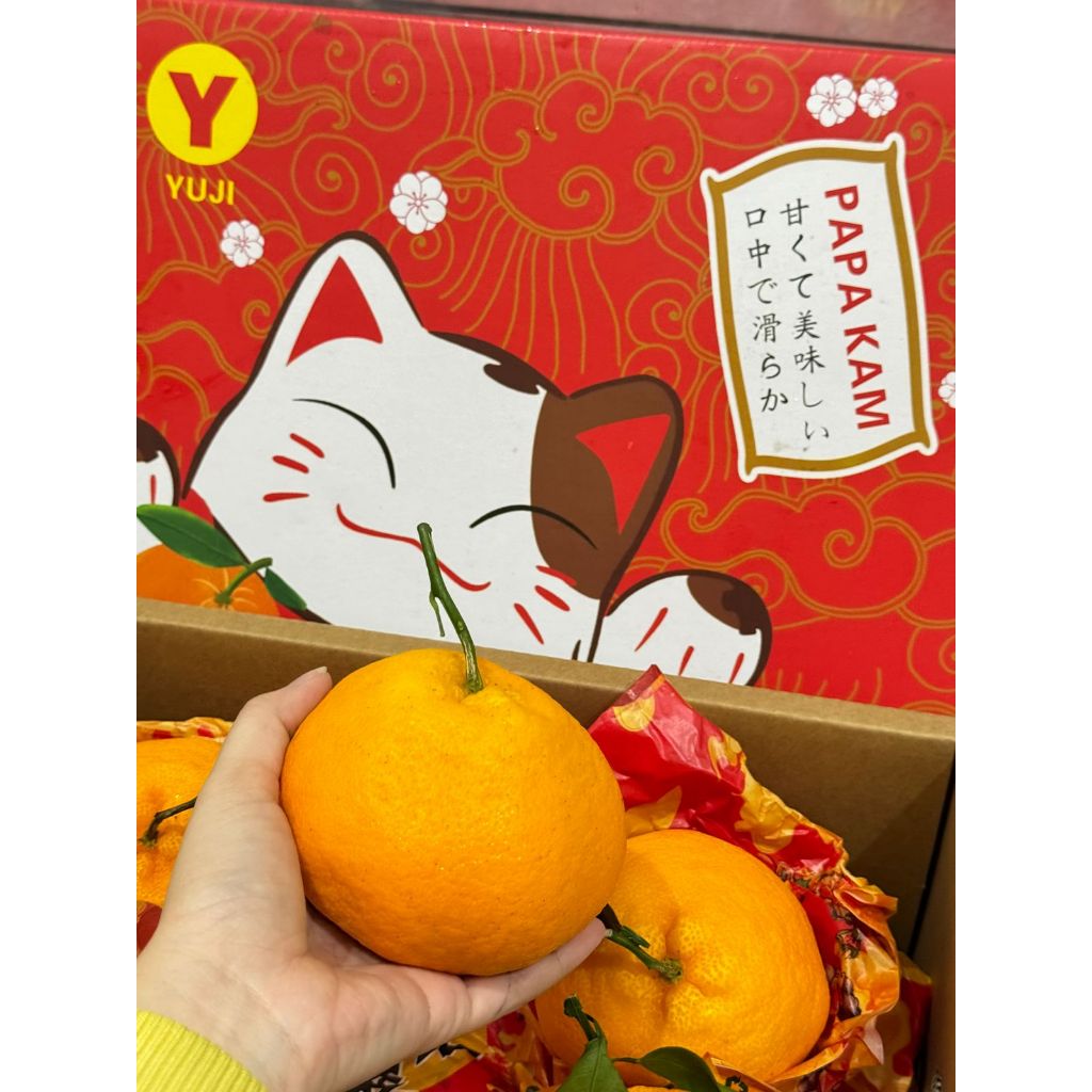 

Jeruk Dekopon Yuji 4 KG (BOX)