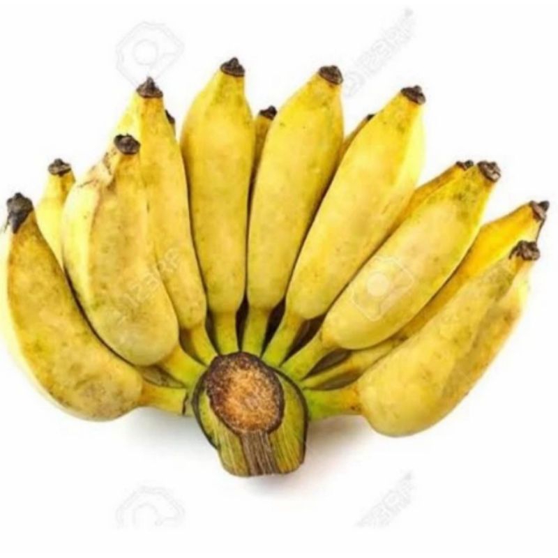 

Pisang Gedah Per sisir Sayur Segar Palembang