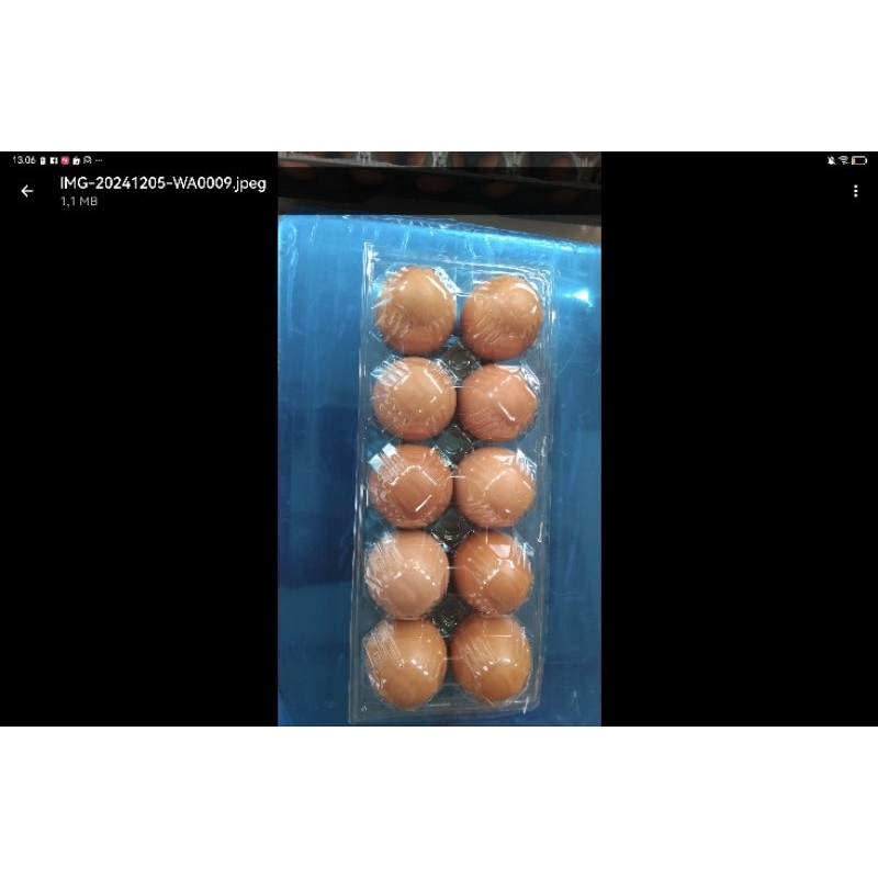 

telur Omega