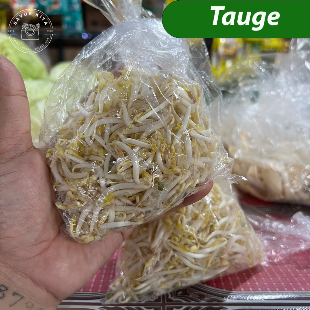 Tauge segar | sayurkita_id