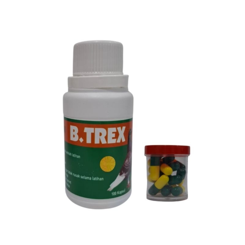 B-trex baron doping merpati kolong dan balap