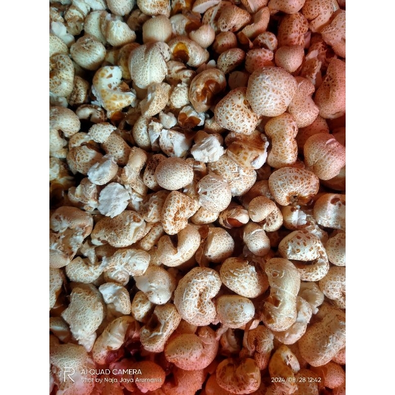 

popcorn jadul (800g -1kg) brondong jagung