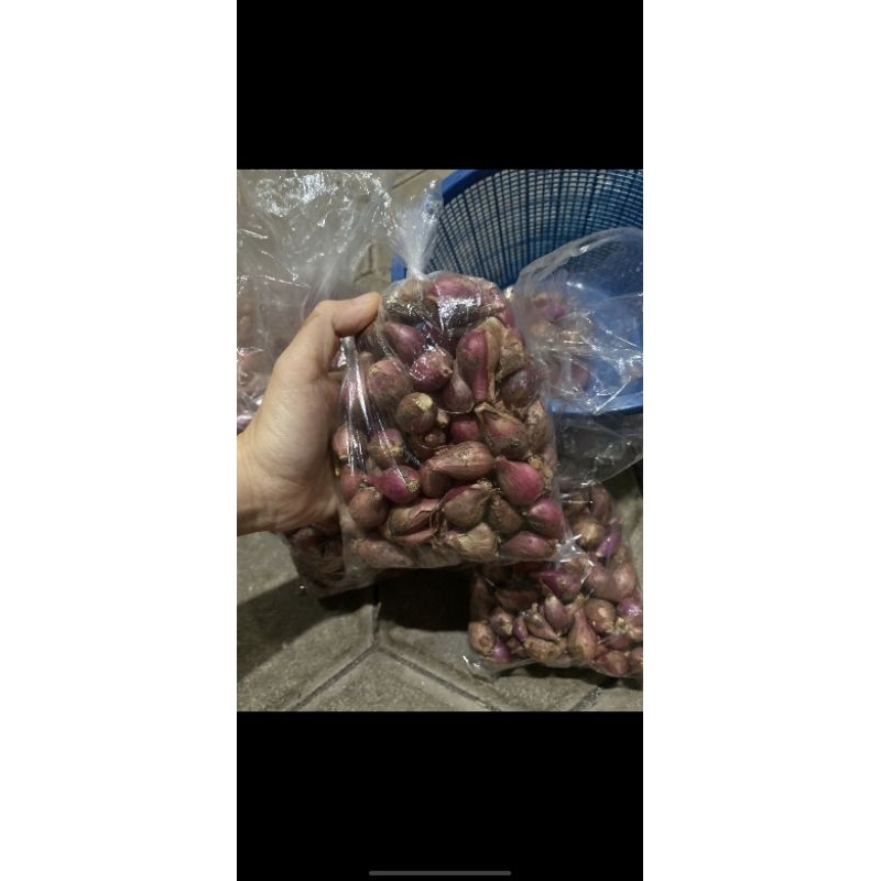 

brambang atau bawang merah