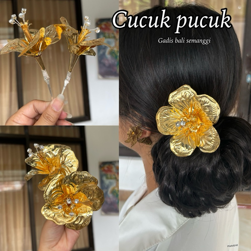 cucuk pucuk/ pucuk emas/ bunga sanggul/ semanggi emas