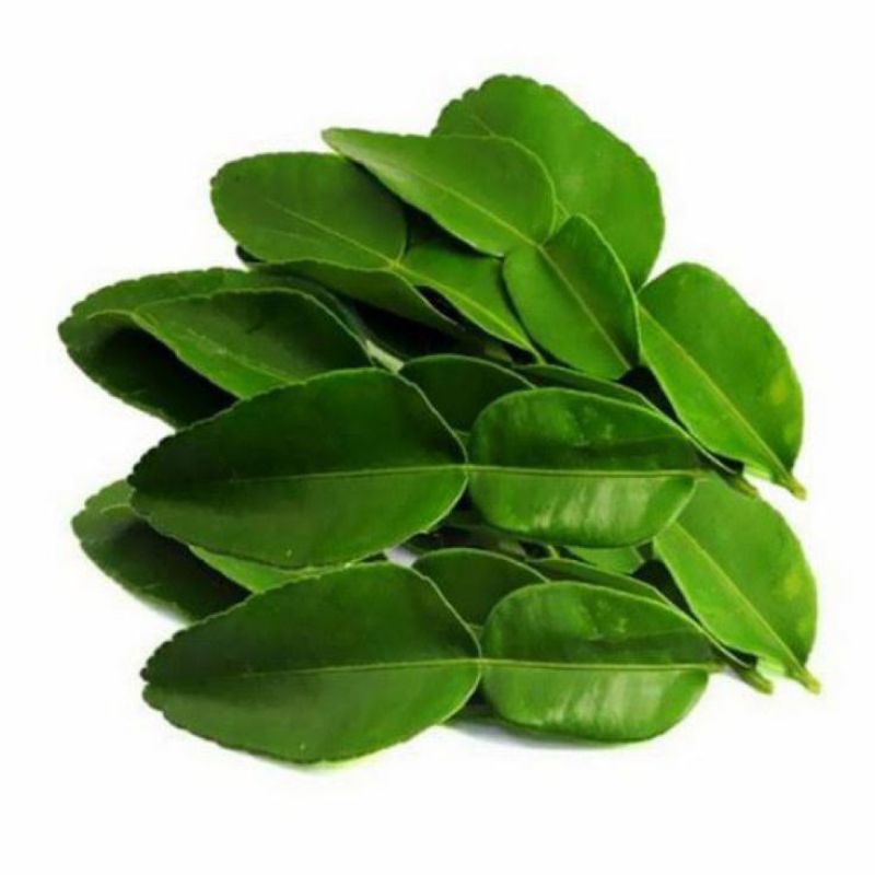 

daun jeruk per pack 20 gram