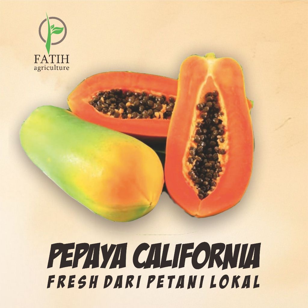 

PEPAYA CALIFORNIA FRESH PETANI LOKAL