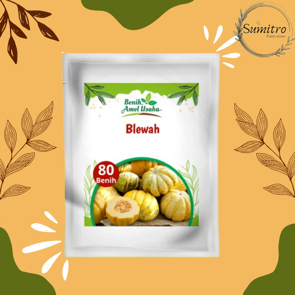 bibit benih blewah super / benih blewah isi 80 benih / benih blewah berlualitas