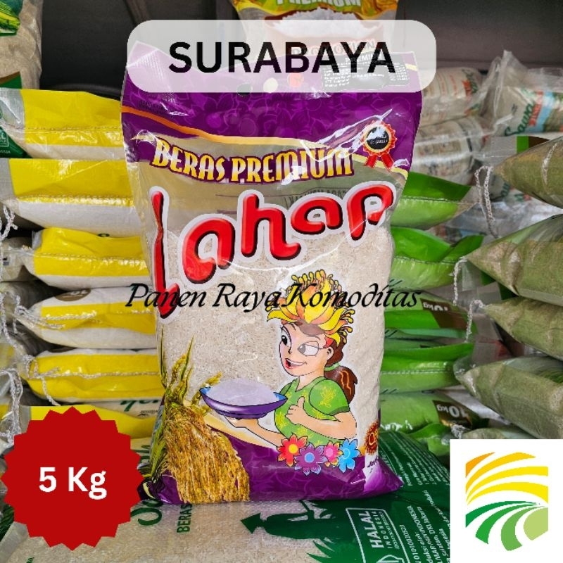 

Beras Lahap Wanita 5 kg