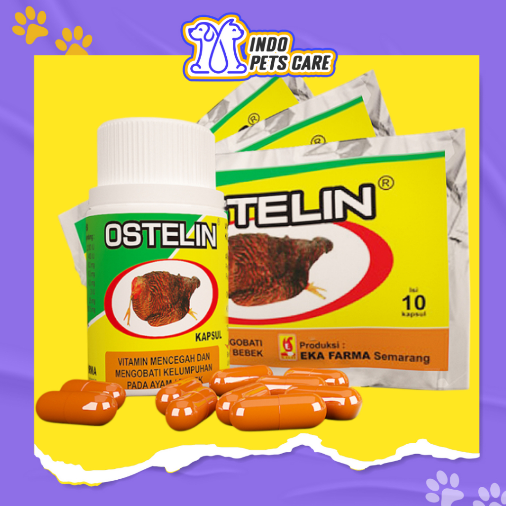Ostelin Kapsul EKA FARMA Obat lumpuh ayam & obati Kelumpuhan Ayam Bebek Unggas, Vitamin ayam lumpuh