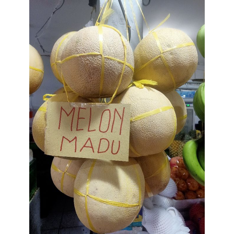 

Melon Madu Hijau Jual Buah Melon Madu Hijau Manis Surabaya Melon Hijau Surabaya Barat