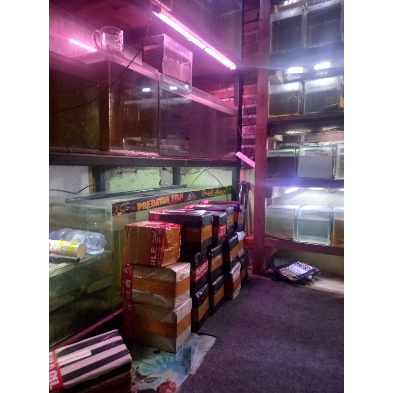 

kardus packing isi limbata 4.5 cm