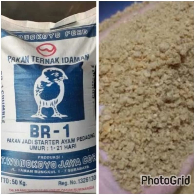 Br 1 wonokoyo pur murah pakan unggas ternak starter ayam pedaging 10 kilo