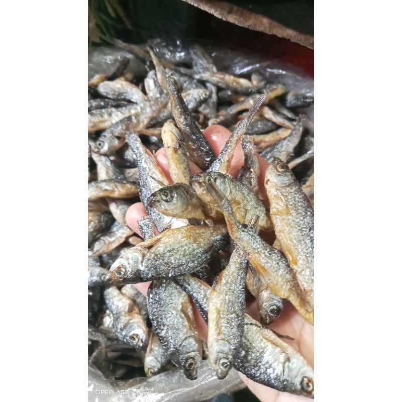 

ikan bilih danau Singkarak ikan bilih tidak pahit kualitas super harga murah 1.kg