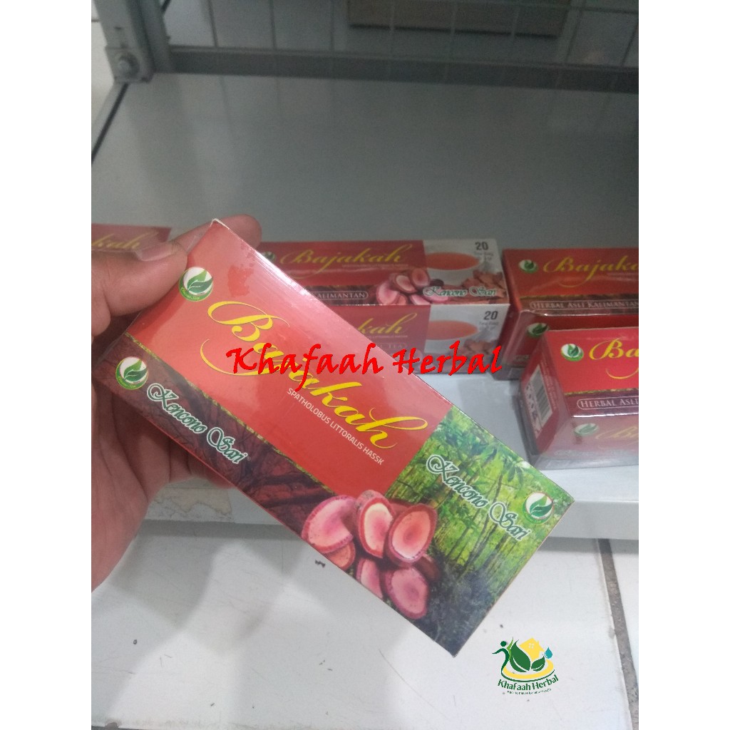 

Teh Celup Akar Kayu Bajakah Kalimantan KENCONO SARI