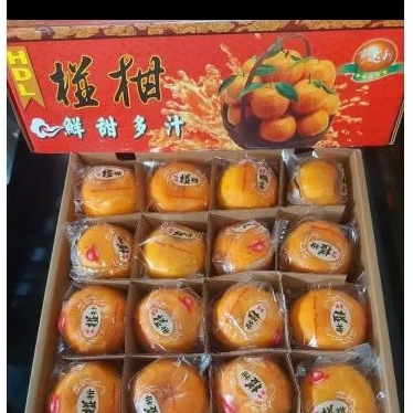 

JERUK PONKAM HDL TAIWAN 1dus isi 40pcs