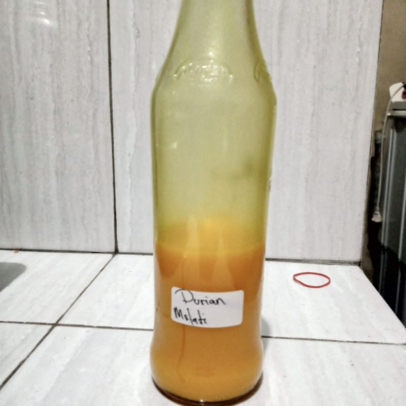 essen oplosan ikan mas aroma durian melati