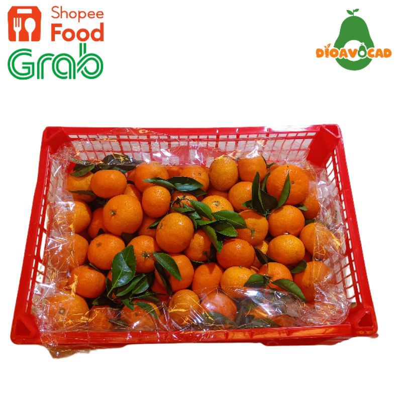 

jeruk santang daun per 1 keranjang/krat