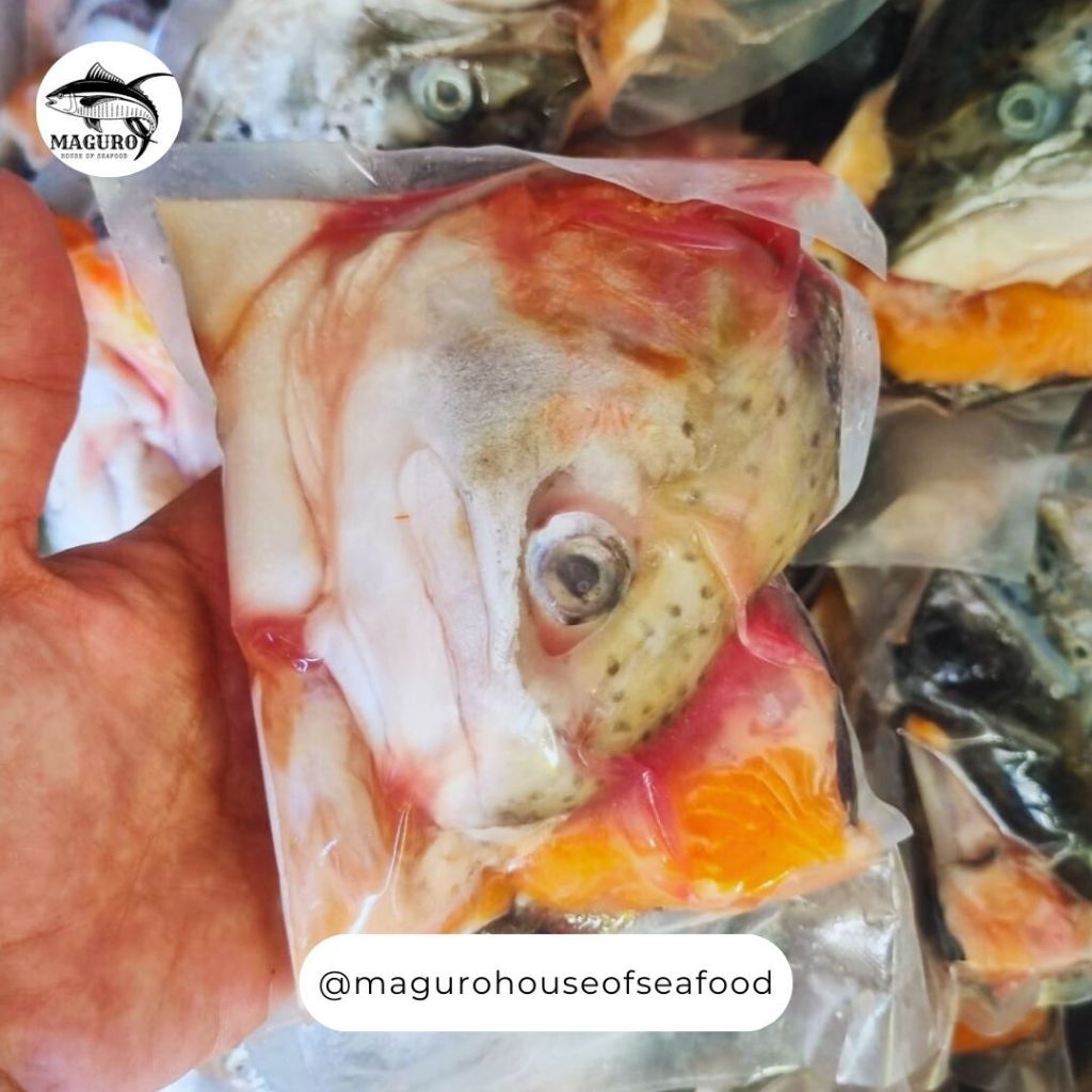 

Kepala Ikan Salmon