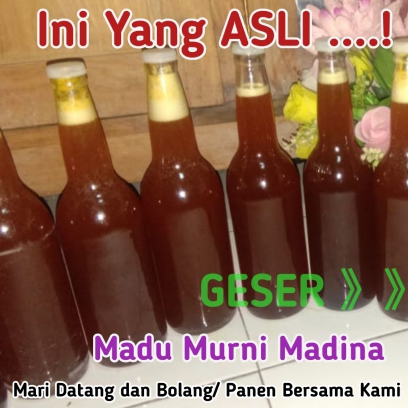 

Wild Raw Honey Madu Hutan Liar Alas Jaminan Sampai Kiamat Asli Tanpa Campuran