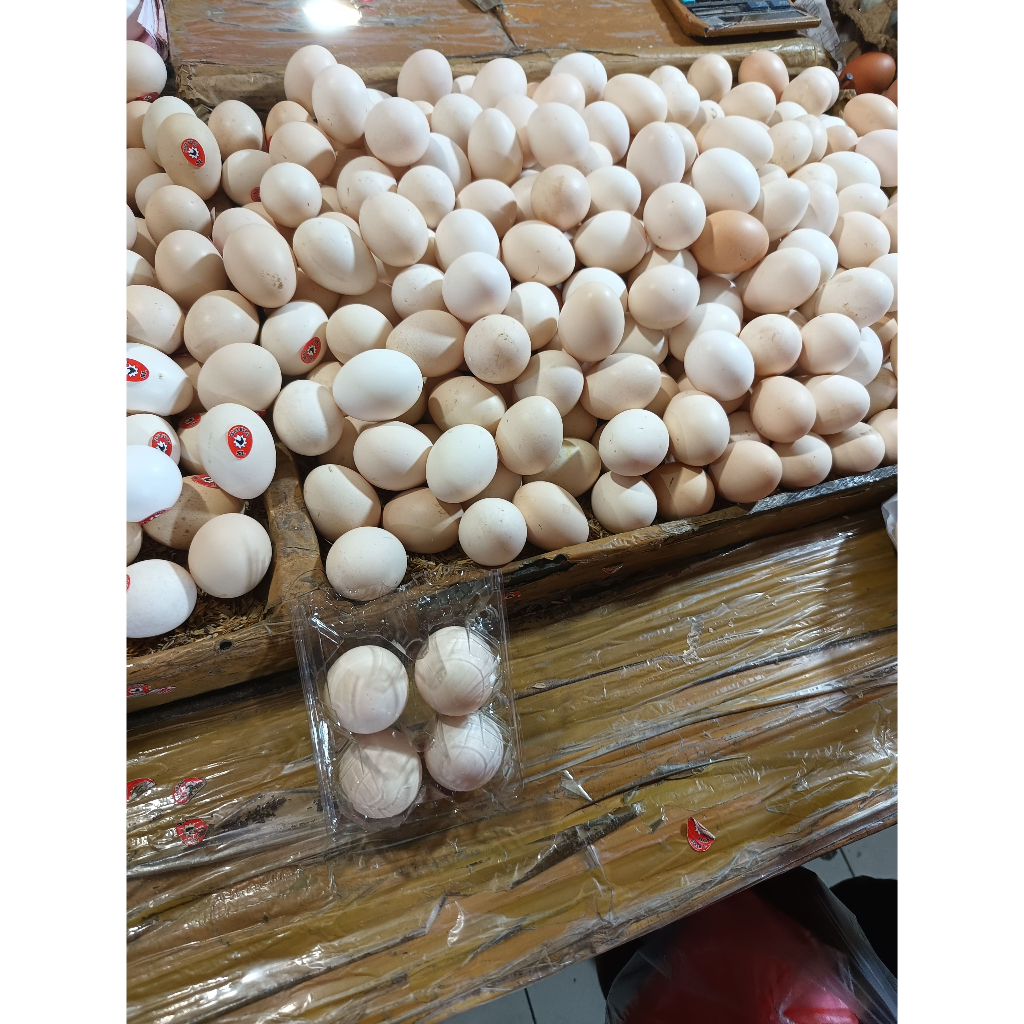 

TELUR AYAM KAMPUNG NORMAL & OMEGA [ 1-pcs ]