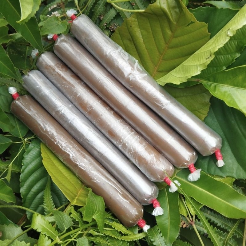 

lempokdurianaslitanpacampuran