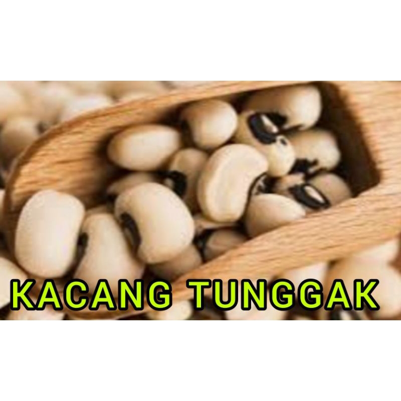 

KACANG TUNGGAK SUPER RP 8000 / 250 GRAM