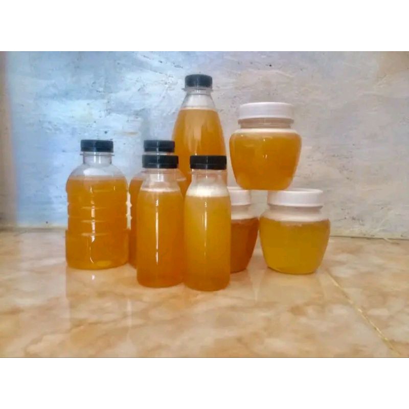 

madu trigona itama rasa asam manis seger