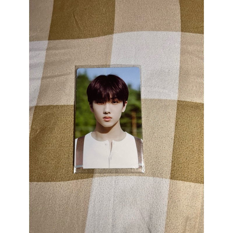 Photocard Jisung NCT Dream a Dream Official | pc jisung | pc nct dream