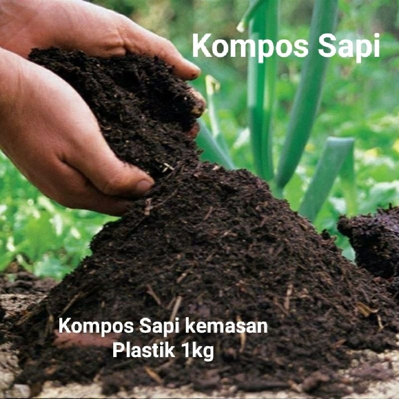 Kompos Sapi,Pupuk Kompos Sapi