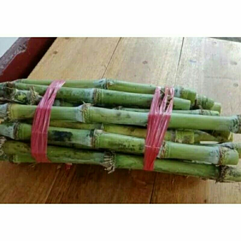 

binih rebusta/turubuk sayur per 1