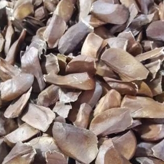 

1/2kg Biji Mahoni utuh/Biji buah mahoni/ Sky Fruits / Xiang Tian Guo