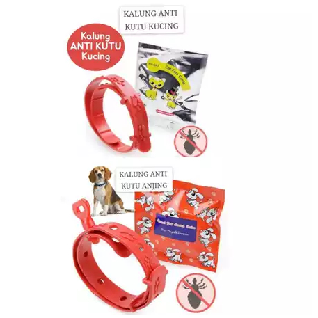 Kalung anti Kutu Kucing / Kalung anti Kutu Anjing Kecil / Kalung anti Kutu untuk anjing / Kalung ant