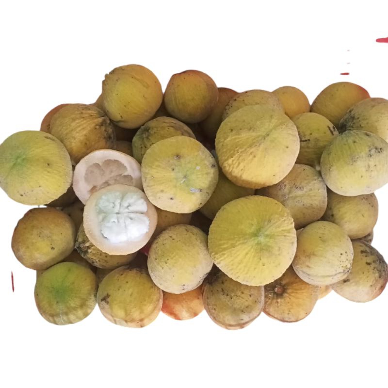 

kecapi madu 1kg jumbo manis