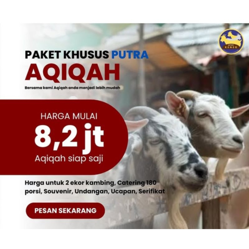 

Paket Aqiqah Khusus Putra