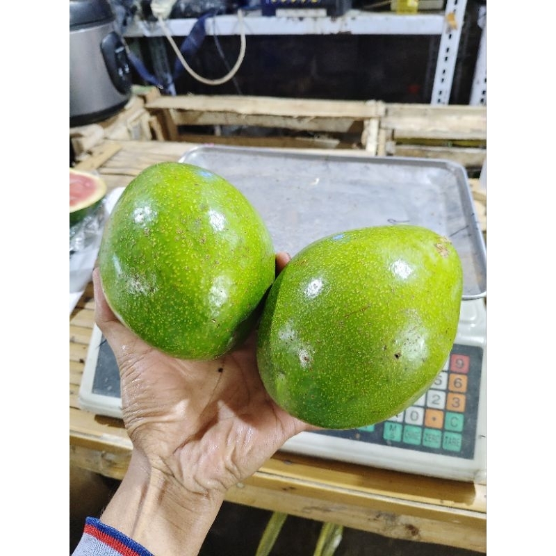 

Alpokat mertega Super Bergaransi