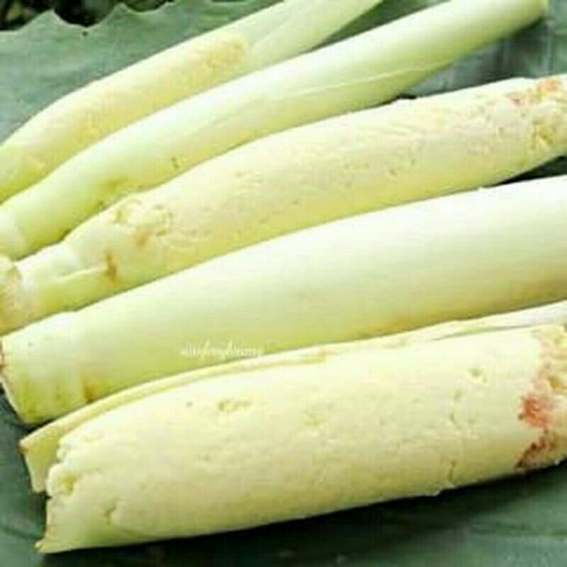 

turubuk saur/robusta buat nyasur harga murah barang bekualitas