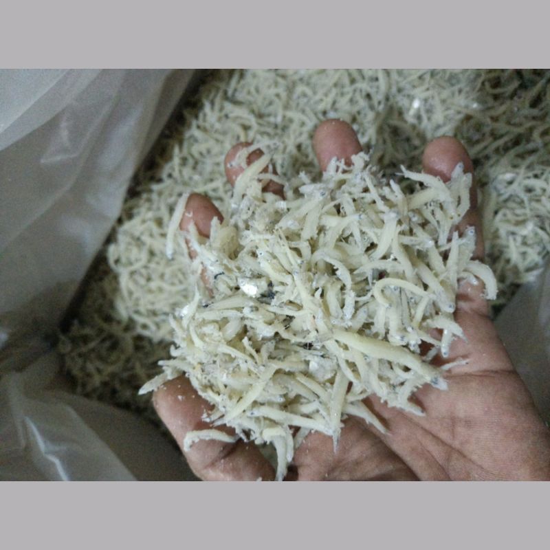 

Teri Medan/Teri Nasi Asin Tinggi proteinTerlezat Termurah