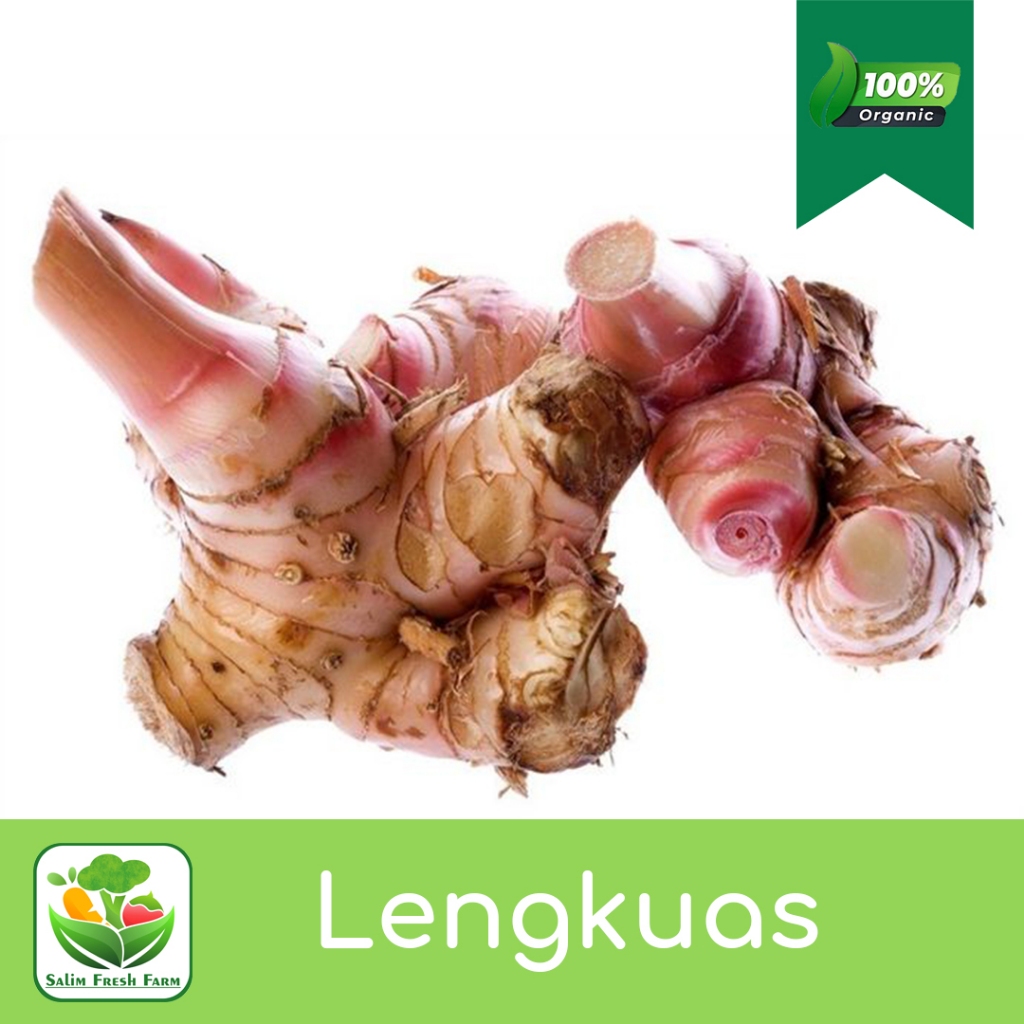 

Lengkuas merah/Lengkuas segar/Lengkuas 1kg