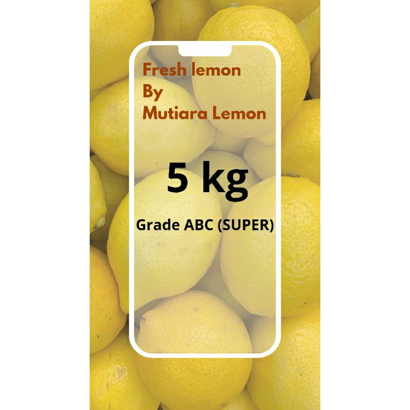 

LEMON CALIFORNIA GRADE ABC (SUPER) 5KG DIJAMIN TERMURAH DENGAN KUALITAS TERBAIK