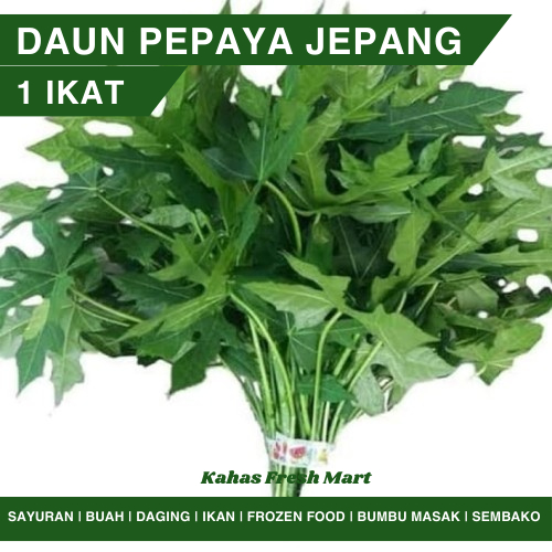 

Daun Pepaya Jepang 1 Ikat