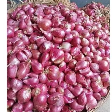 

BAWANG MERAH ASLI BREBES GRADE AAA