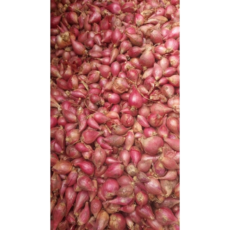 

bawang merah brebes 500 gram