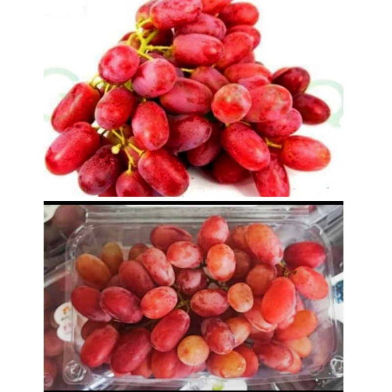 

Anggur Merah Crimson NON Biji Premium