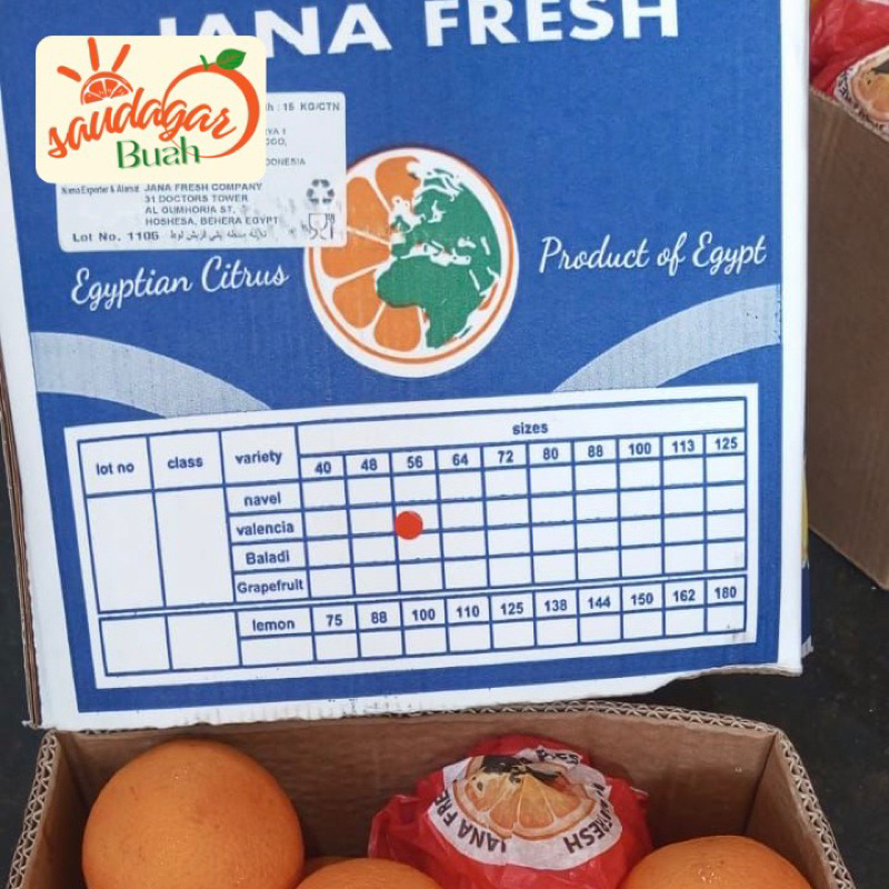 

RB BUAH JERUK POTONG JERUK JUS ORANGE VALENCIA 1KG